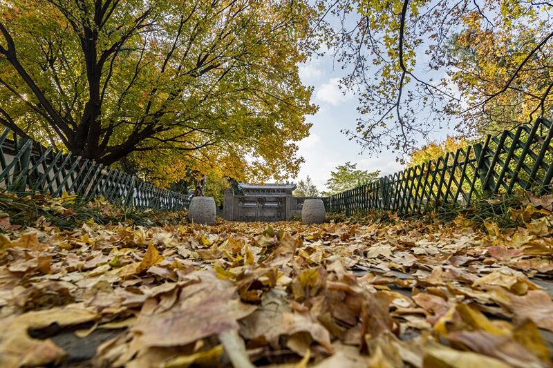 ΢��ͼƬ_20251022200802.jpg